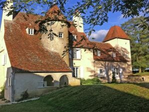 Schloss Château in der Auvergne mit Fluss und Terrasse - Lurcy-Lévis - image1