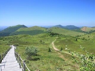 Castillo Lurcy-Lévis Entorno 37