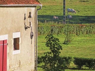Château Lurcy-Lévis Enregistrement extérieur 11