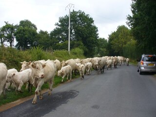 Vakantiehuis Tronget Omgeving 38