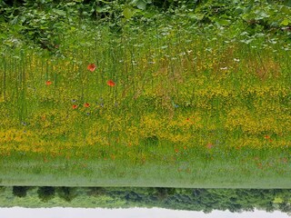 Casa per le vacanze Tronget Ambiente 31