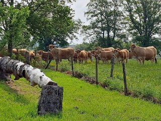 Casa de vacaciones Tronget Grabación al aire libre 8