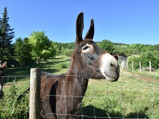 Vakantiehuis Vault-de-Lugny  38