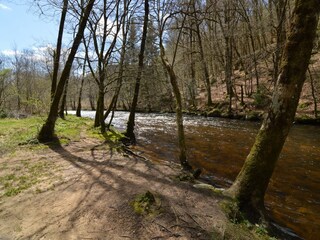 Ferienhaus Vault-de-Lugny Umgebung 32