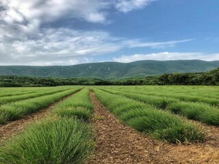 Vakantiehuis Céreste Omgeving 33