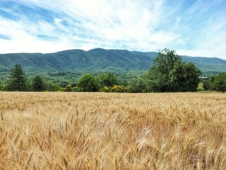 Casa per le vacanze Céreste Ambiente 33