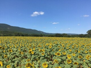 Ferienhaus Céreste Umgebung 30
