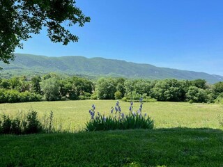 Vakantiehuis Céreste Omgeving 37