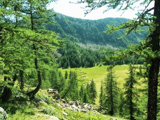 Villa Castellane Environment 36