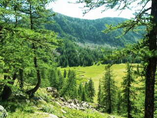 Villa Castellane Environnement 40