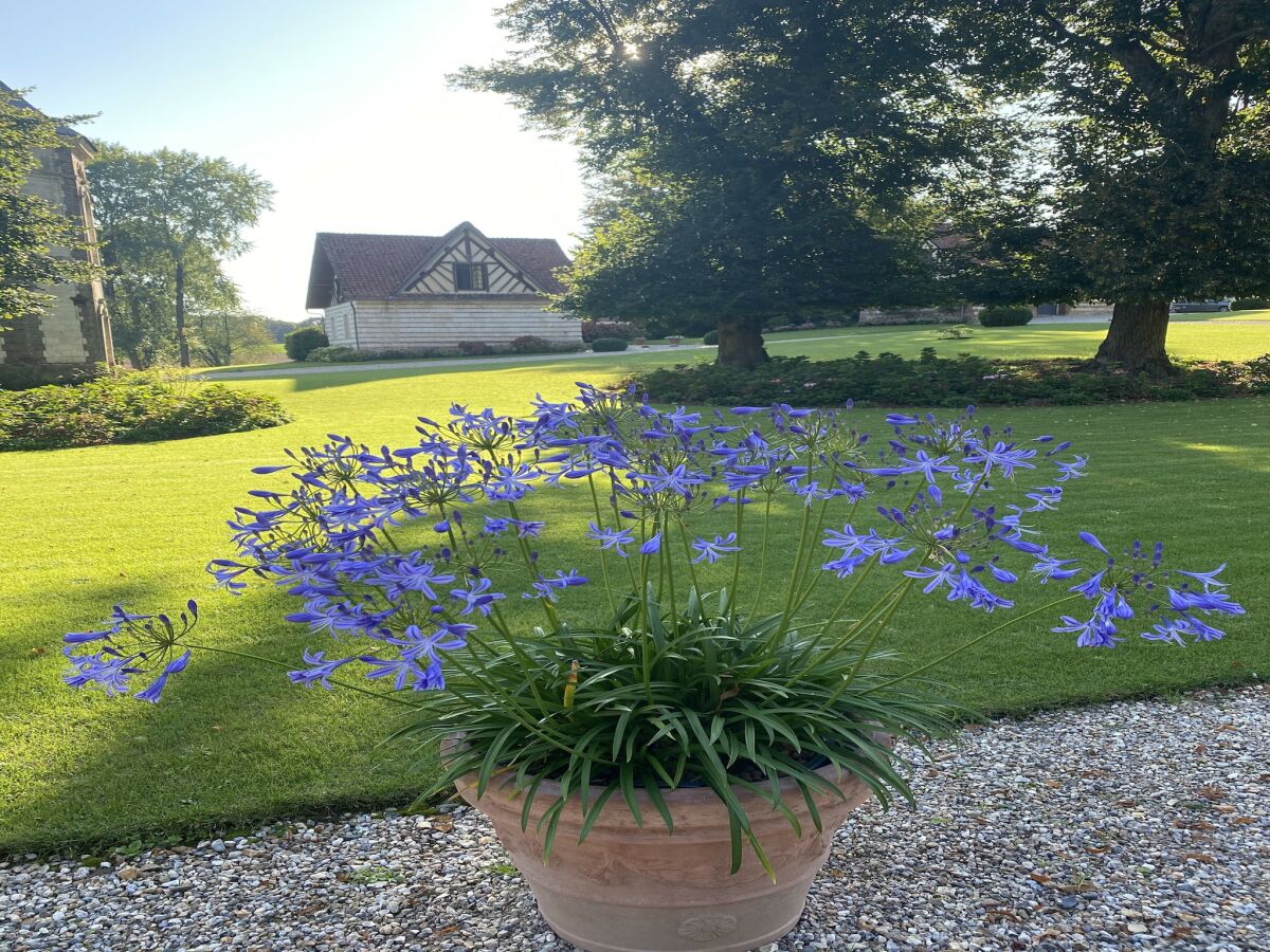 Ferienhaus Auxi-le-Château  13