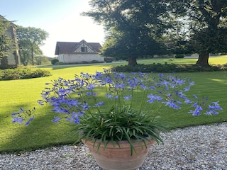 Ferienhaus Auxi-le-Château  15