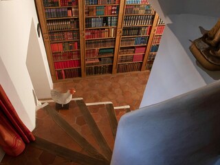 Villa Grasse Kenmerken 10