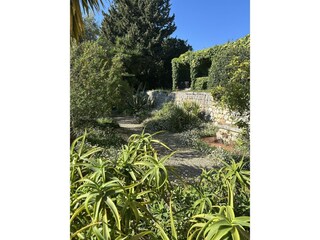 Villa Grasse Environment 21