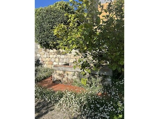 Villa Grasse Environment 22