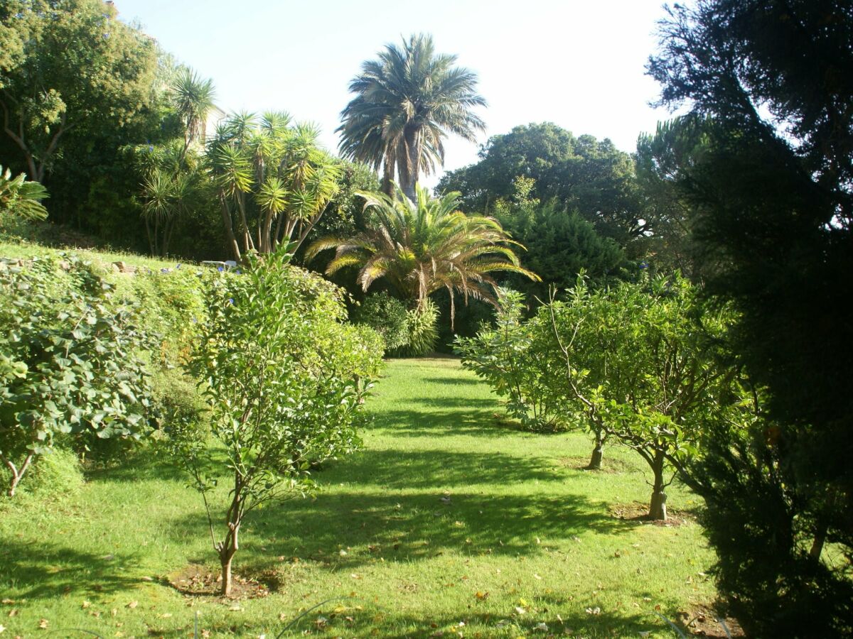 Villa Cannes Registrazione all'aperto 1