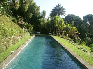 Villa Cannes Außenaufnahme 7