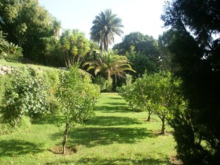 Villa Cannes Registrazione all'aperto 6