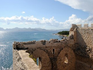 Villa Cannes Entorno 24