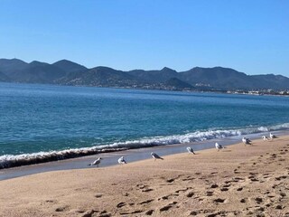 Villa Cannes Ambiente 35