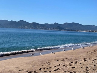 Villa Cannes Umgebung 37