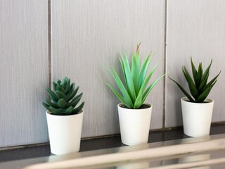 Casa per le vacanze Chateauneuf-Villevieille  37