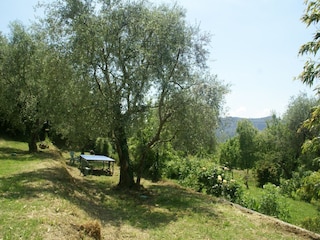 Holiday house Chateauneuf-Villevieille Outdoor Recording 10