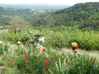 Maison de vacances Chassiers Environnement 35