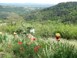 Ferienhaus Chassiers Umgebung 34