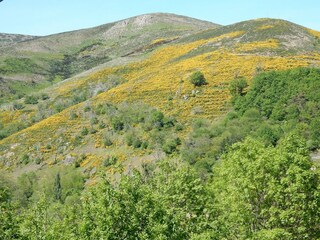 Vakantiehuis Saint-Étienne-de-Serre Omgeving 27