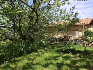 Ferienhaus Saint-Pierre-de-Colombier Außenaufnahme 9
