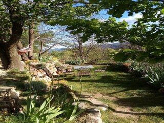 Holiday house Saint-Pierre-de-Colombier Environment 37