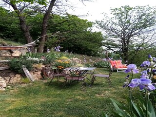 Holiday house Saint-Pierre-de-Colombier Outdoor Recording 4