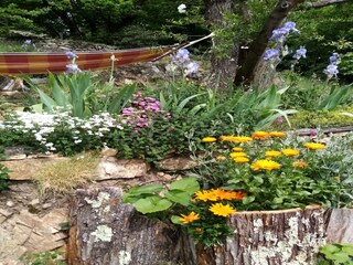 Holiday house Saint-Pierre-de-Colombier Outdoor Recording 8