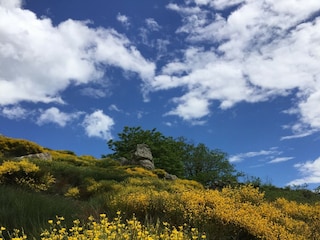 Casa de vacaciones Saint-Pierre-de-Colombier Grabación al aire libre 15