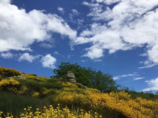Casa per le vacanze Saint-Pierre-de-Colombier Registrazione all'aperto 16