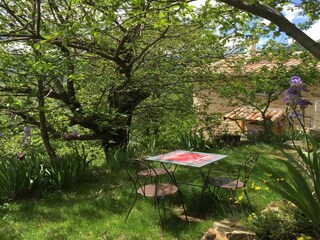 Holiday house Saint-Pierre-de-Colombier Outdoor Recording 2