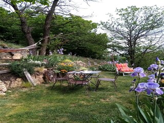 Vakantiehuis Saint-Pierre-de-Colombier Buitenaudio-opname 17