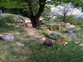 Casa de vacaciones Saint-Pierre-de-Colombier Grabación al aire libre 18