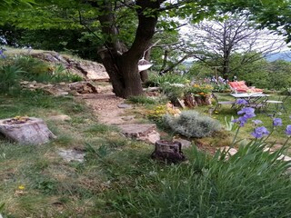 Holiday house Saint-Pierre-de-Colombier Outdoor Recording 18