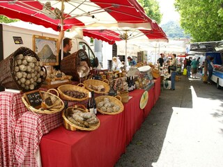 Vakantiehuis Berrias-et-Casteljau Omgeving 29