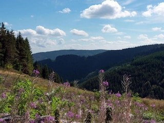 Villa Montregard Omgeving 31