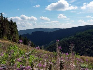 Villa Montregard Umgebung 25