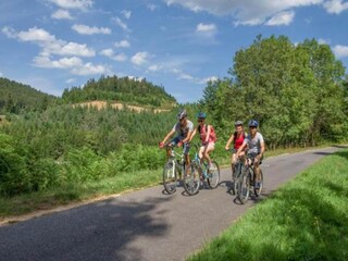 Villa Montregard Environnement 35