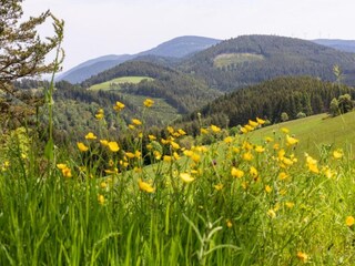 Villa Montregard Entorno 36