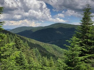 Villa Montregard Entorno 37