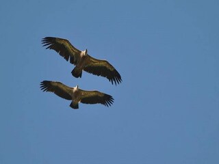 Maison de vacances Saint-Jean-le-Centenier Enregistrement extérieur 2