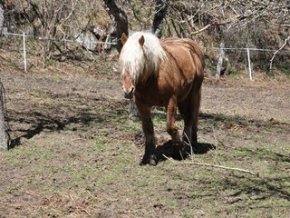 Vakantiehuis Mosset Omgeving 28