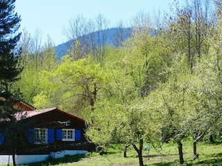 Ferienhaus Mosset Außenaufnahme 6
