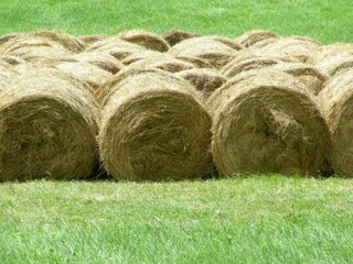 Casa per le vacanze Mosset  40